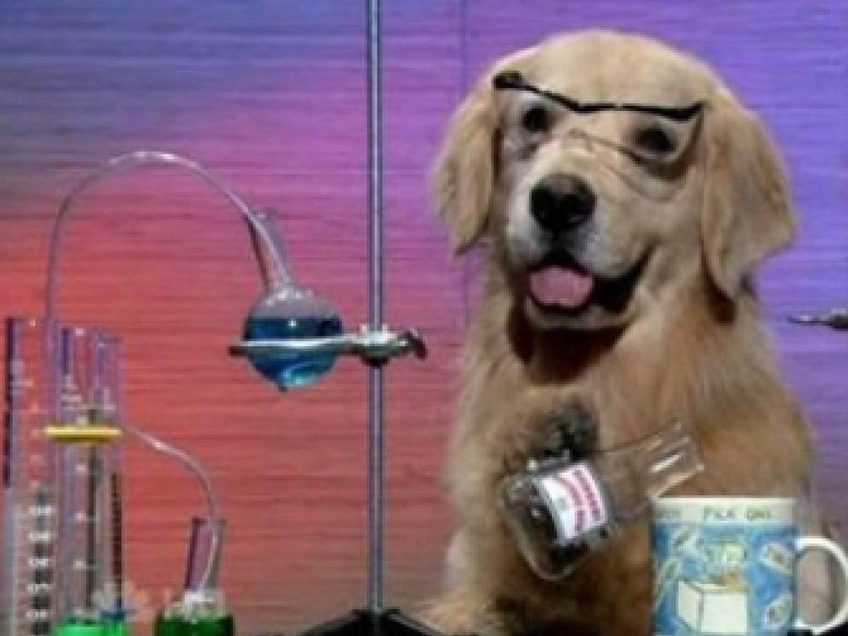 Could your dog be a scientist? | Interviews