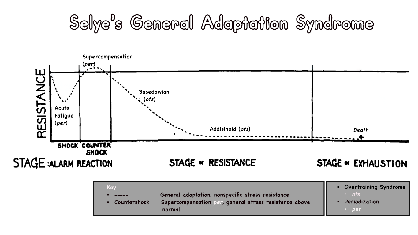 Graph showing Selye’s General Adaptation Syndrome stages with resistance curve depicting shock countershock supercompensation and overtraining syndrome for periodization training