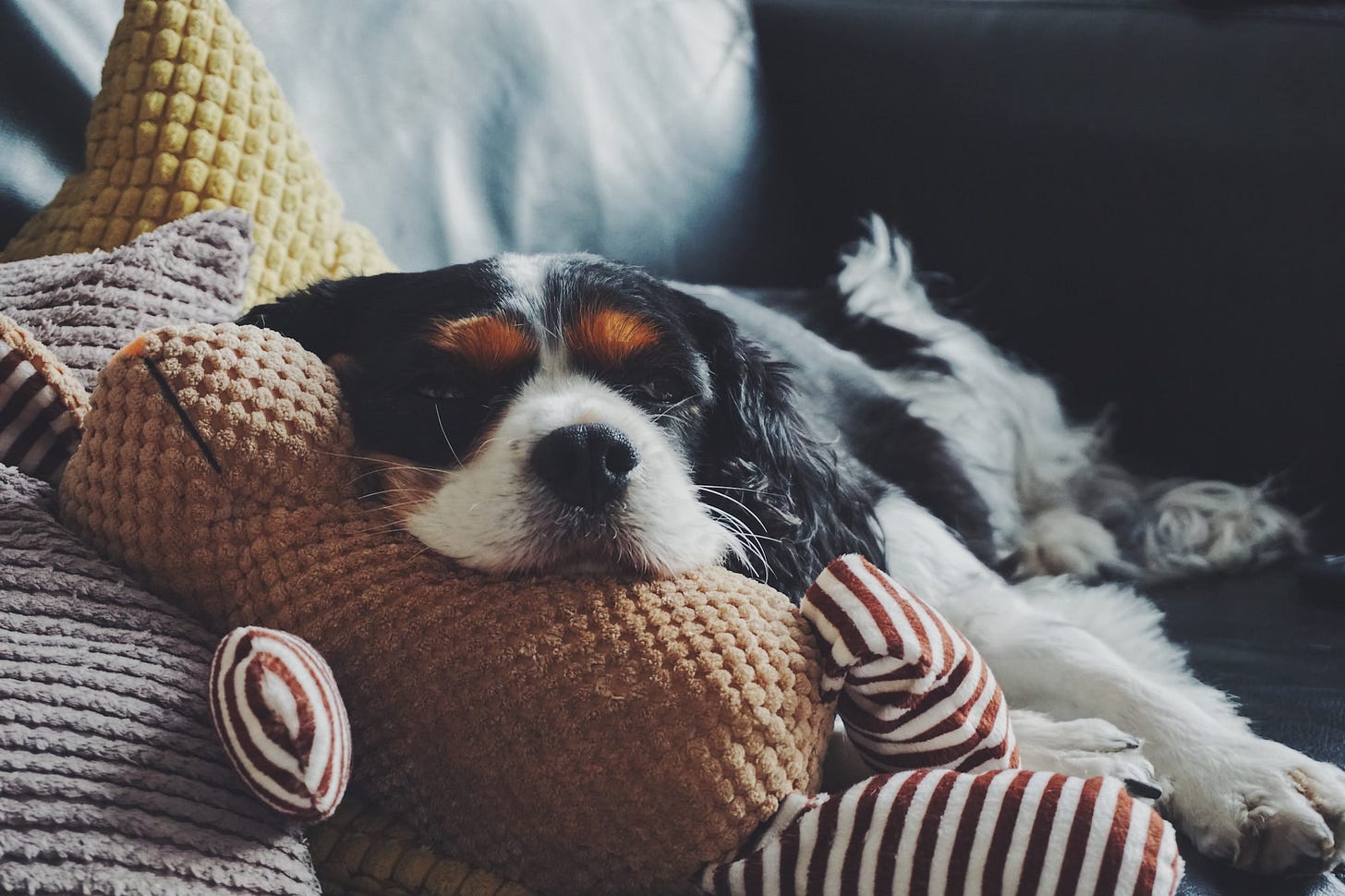 Daily Productive Sharing 721 - How to Trick Your Mind Into Falling Asleep Daily Productive Sharing 721 - How to Trick Your Mind Into Falling Asleep