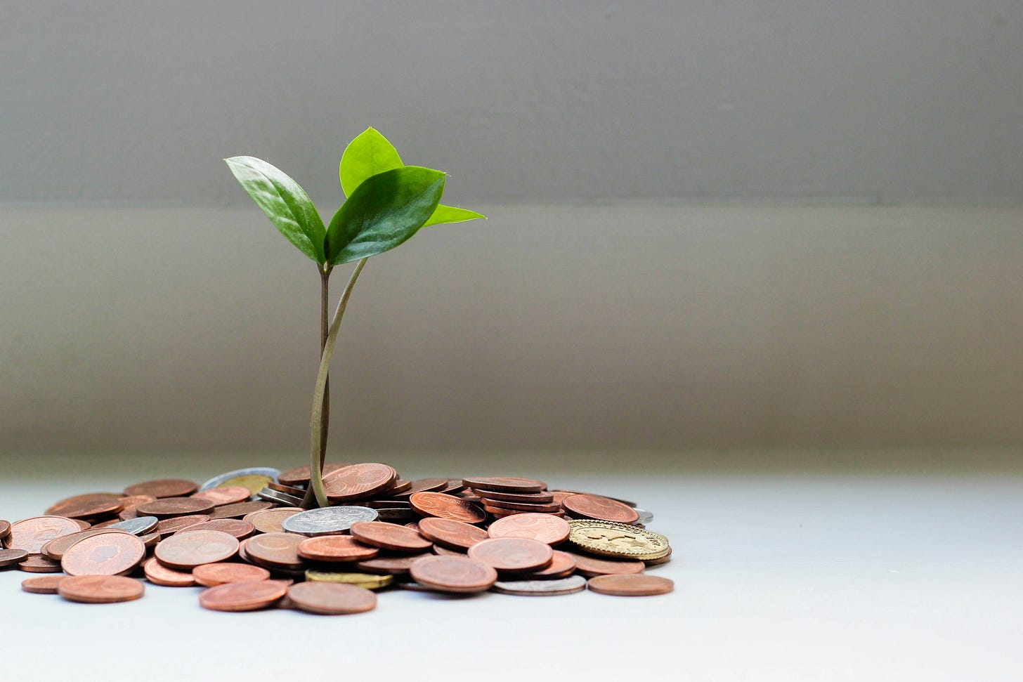 A pile of coins on a white background. From the coins, green (plant) shoots grow A pile of coins on a white background. From the coins, green (plant) shoots grow
