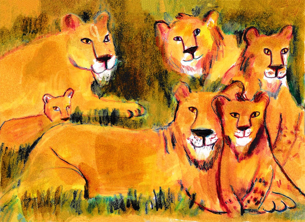 lionesses and cubs illustration by Beth Spencer