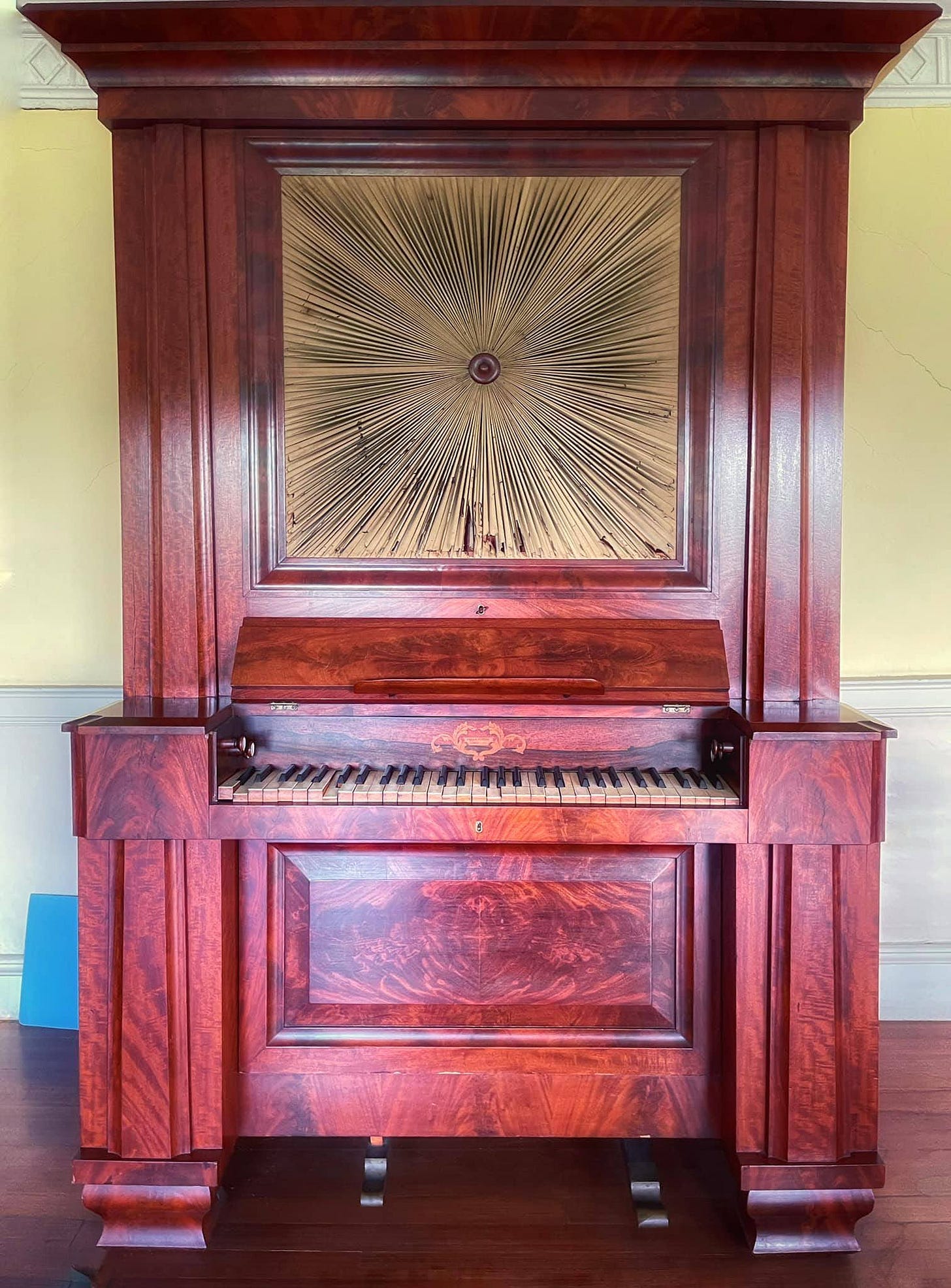 Organ