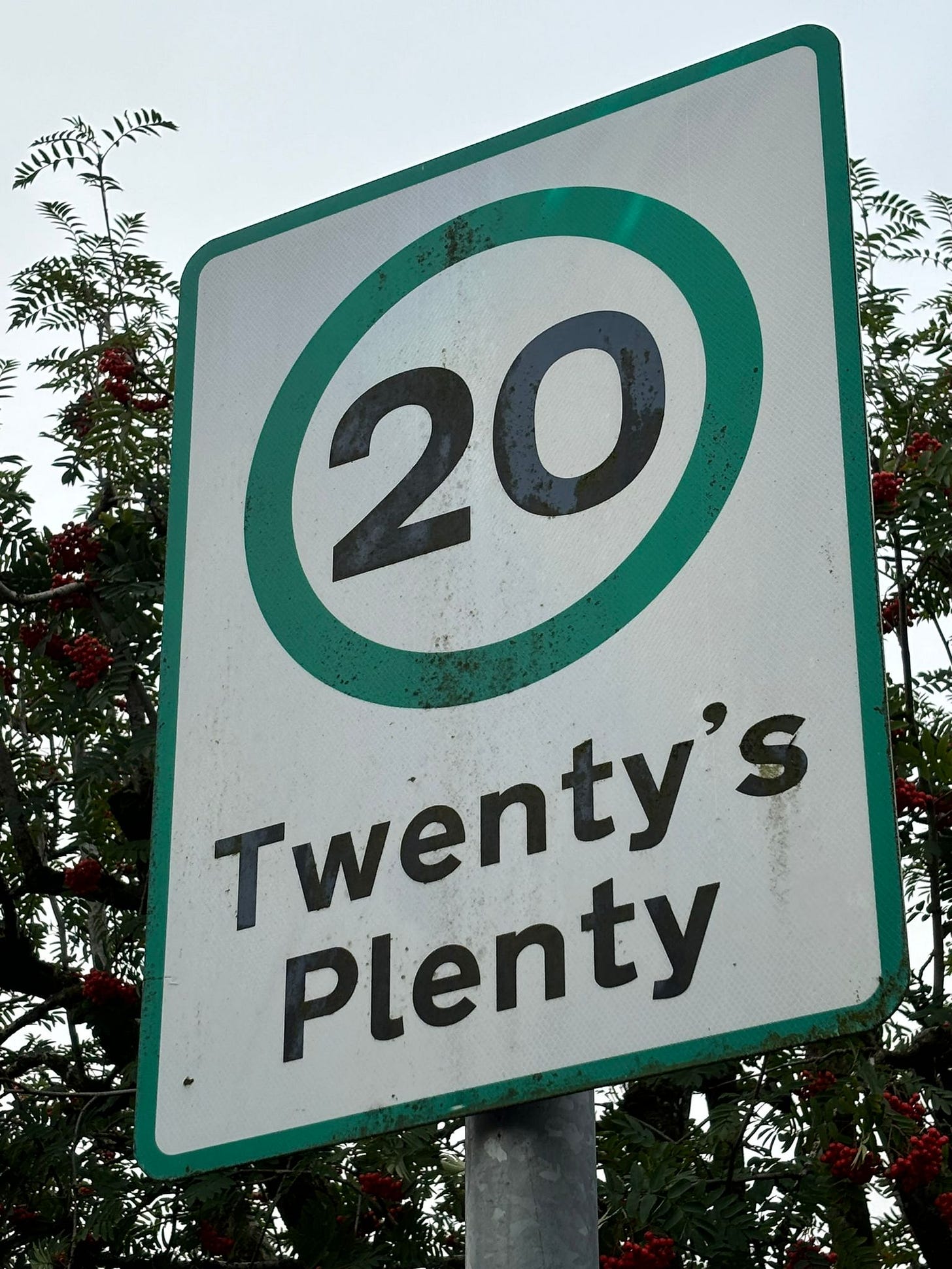 A 20s plenty sign, surrounded by foliage