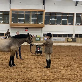 Northern Lights NI club hosts successful Showing Series