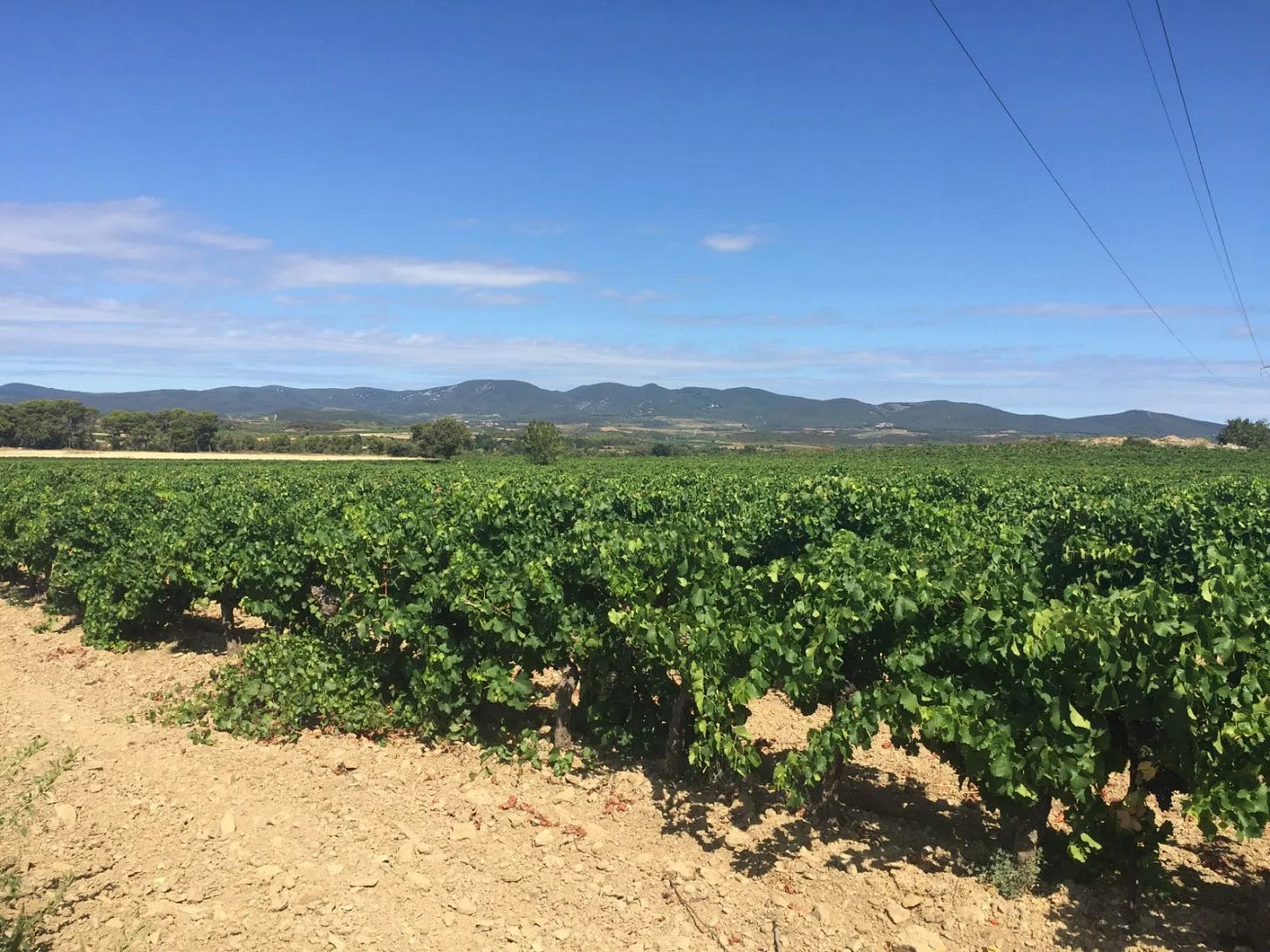 Le Haut Languedoc Le Haut Languedoc