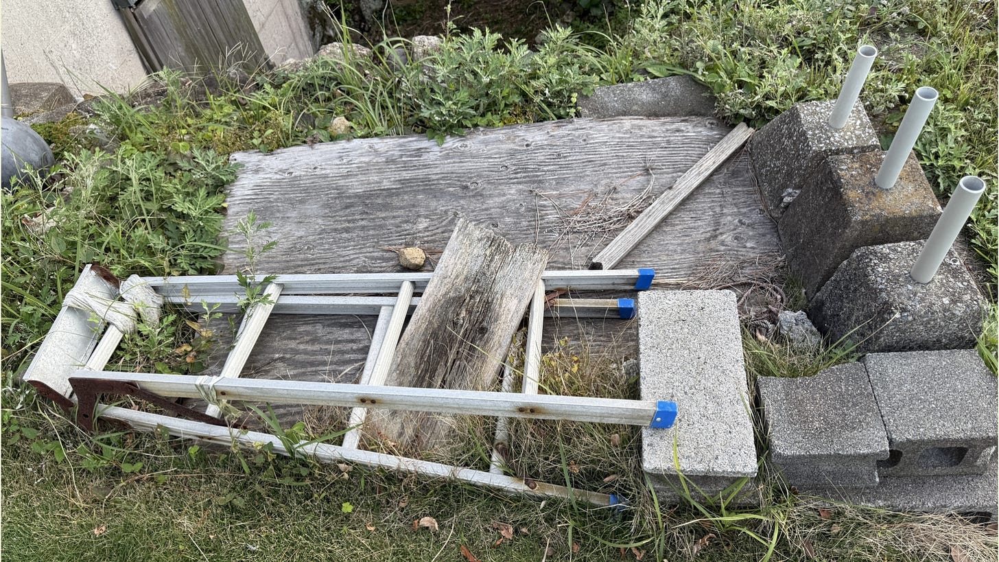abandoned ladder abandoned ladder