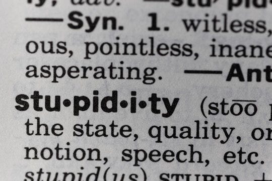 Stupidity Images – Browse 5,864 Stock Photos, Vectors, and Video | Adobe  Stock