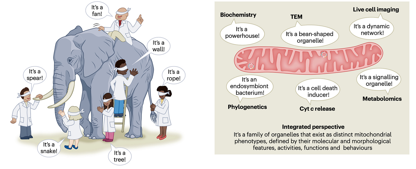 Side-by-side panels showing blindfolded scientists touching different parts of an elephant (left) and diagram of different fields studying different aspects of mitochondria (right). Side-by-side panels showing blindfolded scientists touching different parts of an elephant (left) and diagram of different fields studying different aspects of mitochondria (right).