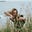 Ashlea Broomfield's avatar