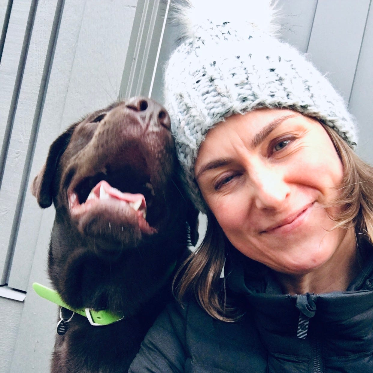 Blue Poppyseeds by Monika Kosmákova