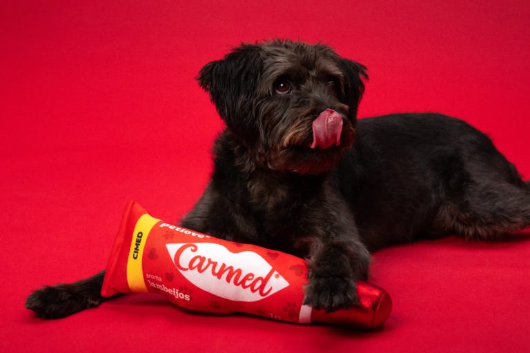 Cimed e Petlove lançam pelúcias Carmed para cachorros - Live MKT News