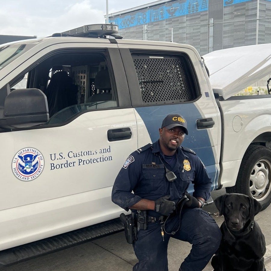 Customs & Border Protection K9 Andy sniffed out the large load of drugs a Mexican cartel tried to smuggle into the US. Customs & Border Protection K9 Andy sniffed out the large load of drugs a Mexican cartel tried to smuggle into the US.