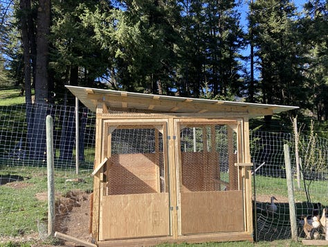 building a duck house
