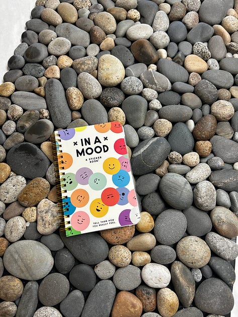 Beach stone mats and trivets