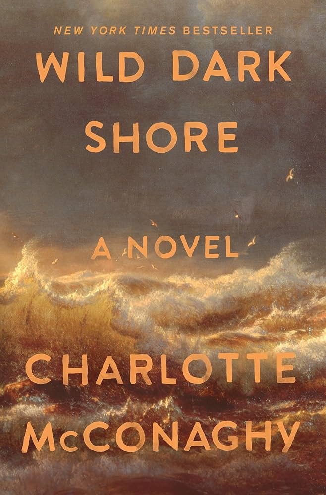 Wild Dark Shore: A Novel See more