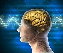 Image result for Holographic Brain pribram