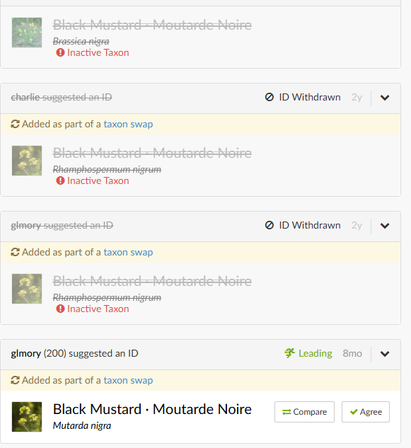 a screenshot of inaturalist where a common species has its name changed twice, making a mess of the whole observation. a screenshot of inaturalist where a common species has its name changed twice, making a mess of the whole observation.