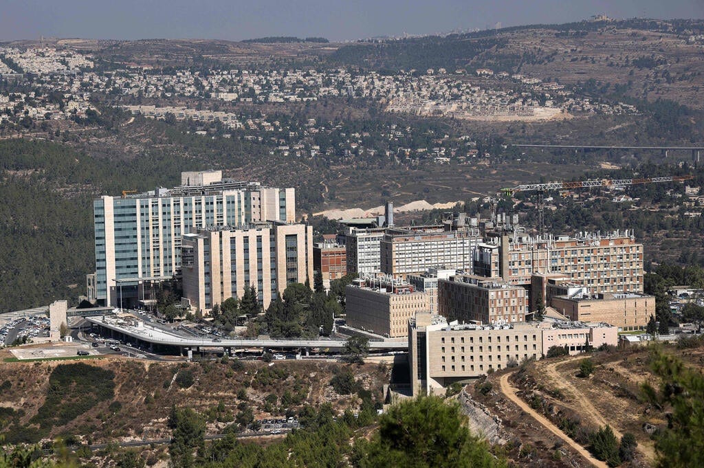 "מקפידים על קיום הוראות הדין והנהלים". בית החולים הדסה (צילום: AFP) בית חולים הדסה עין כרם ירושלים