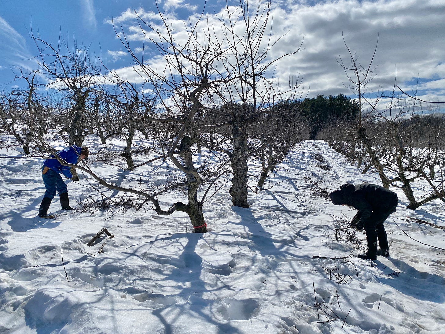 Kevin and Dallas in the orchard