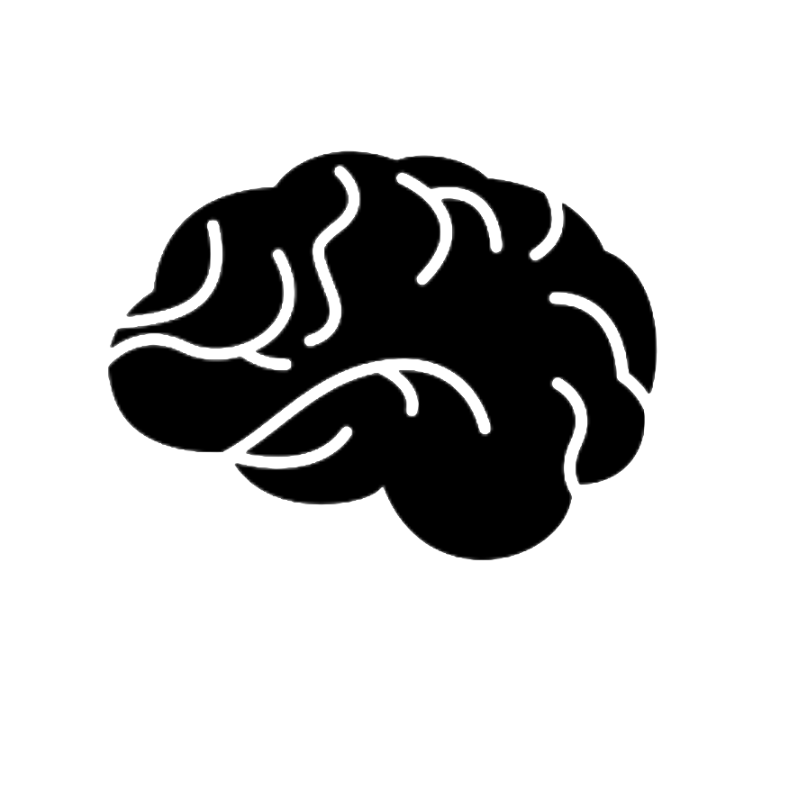 The Mental Health Program