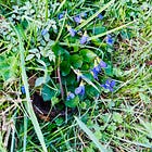 đŞˇEnlightenment is to healing