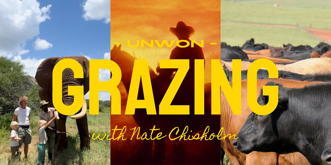 Grazing with Nate Chisholm: From Kenya to Point Reyes