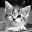 .^)'s avatar