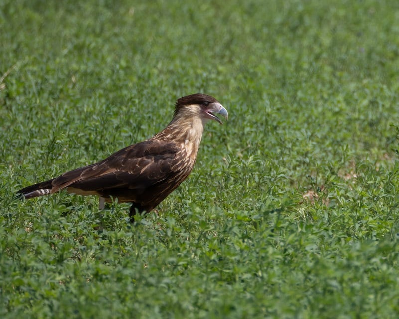 20250818-ElRio-163-Edit.jpg 20250818-ElRio-163-Edit.jpg