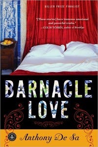 barnacle love