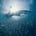 My Estuary