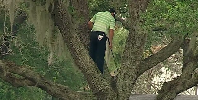 Sergio Garcia climbs a tree to hit one-handed shot at Bay Hill - YouTube