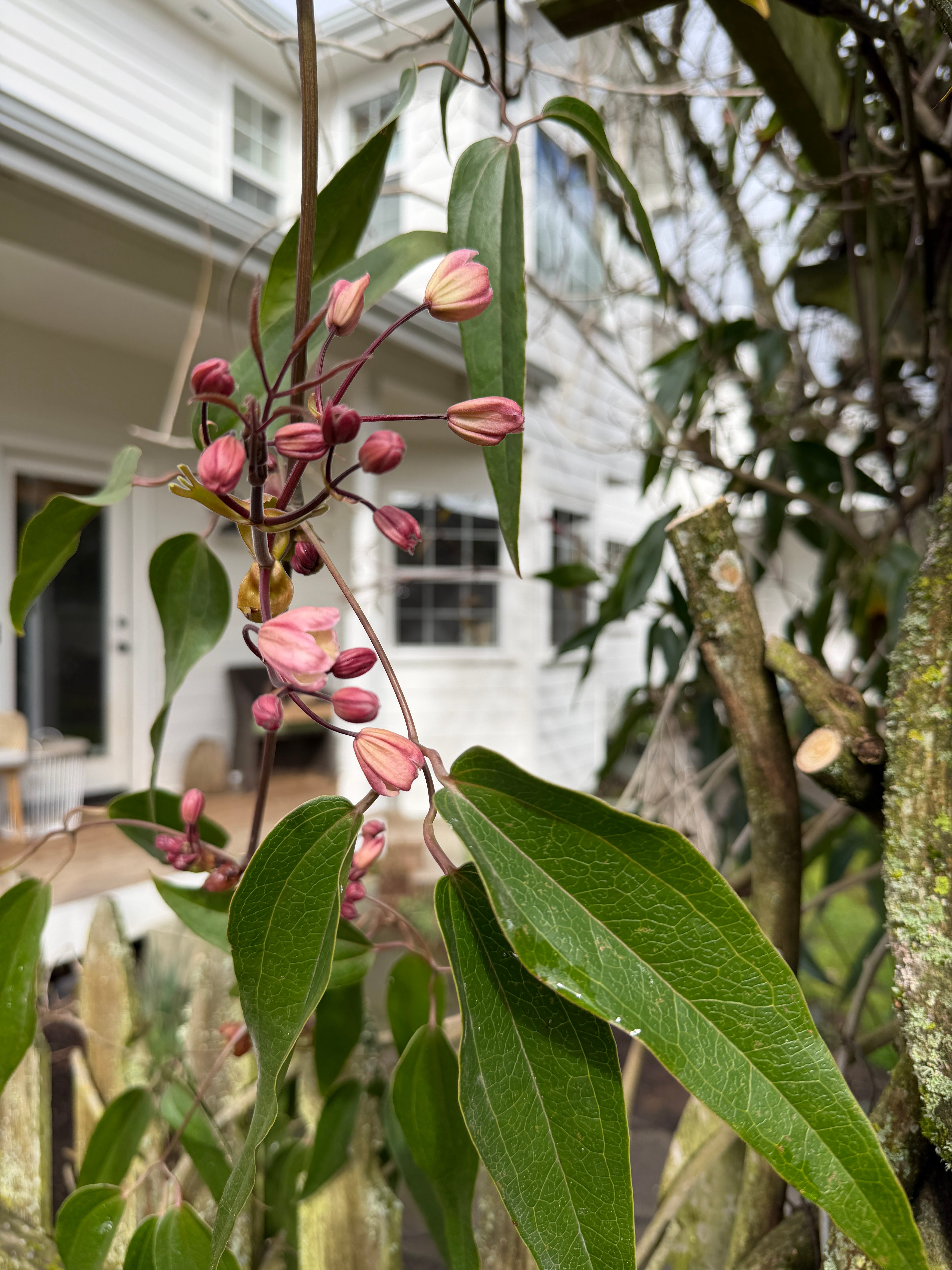 Garden Notes 2026 • 01 - by Ali Edwards - Echoes + Evidence