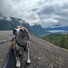 Gratitude: Hiking