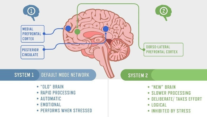 System 1 brain and system 2 brains System 1 brain and system 2 brains
