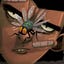 User's avatar