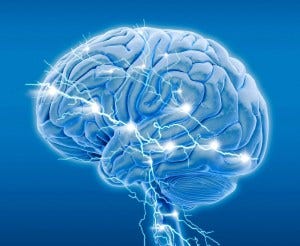 image of a brain