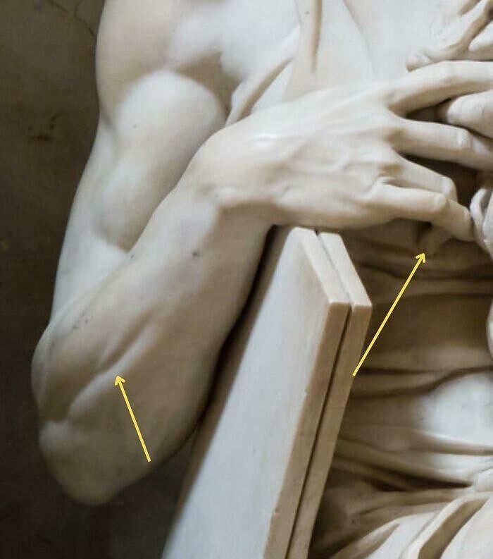 C'è un muscolo molto piccolo negli avambracci che si contrae solo quando si  solleva il mignolo. La scultura del Mosè di Michelangelo solleva il  mignolo, quindi il muscolo è contratto. Incredibile attenzione