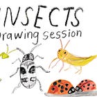 Insects Drawing Session