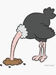 A cartoon of a bird with a long beak

AI-generated content may be incorrect.