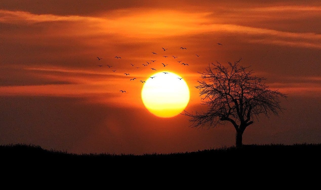 Os teóricos da conspiração afirmam que o nosso sistema solar tem dois sóis. Os teóricos da conspiração afirmam que o nosso sistema solar tem dois sóis.