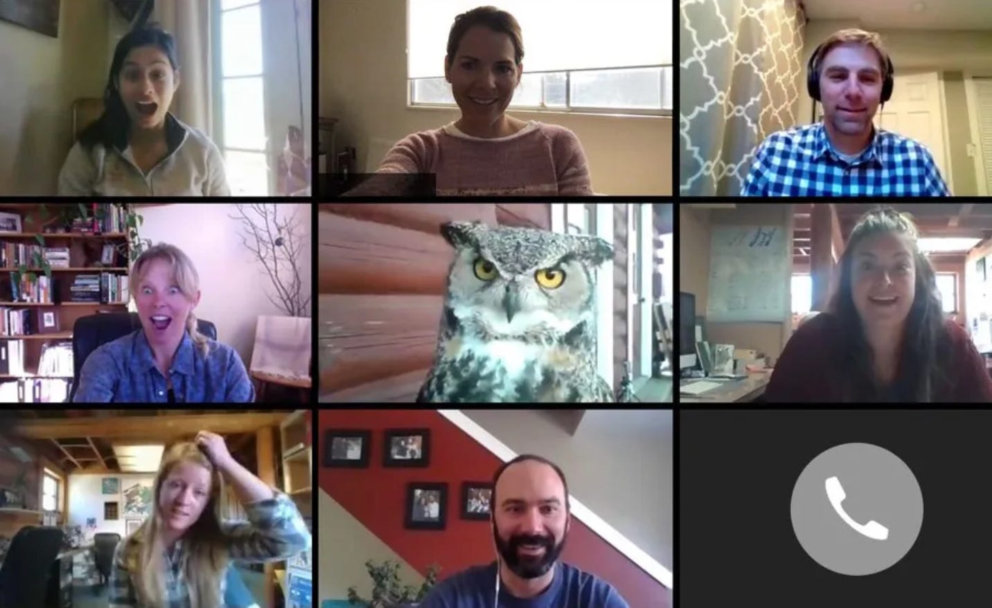 A zoom call featuring 9 frames with an owl at the center