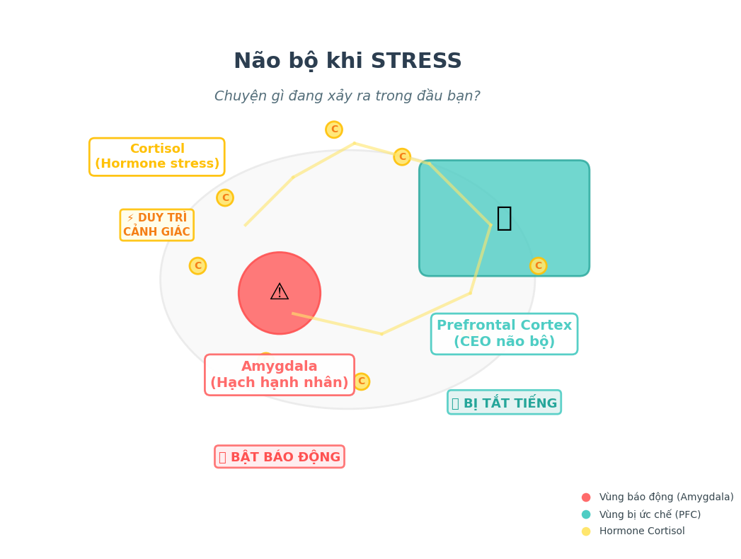 Hình minh họa minimalist hiện đại về stress não bộ