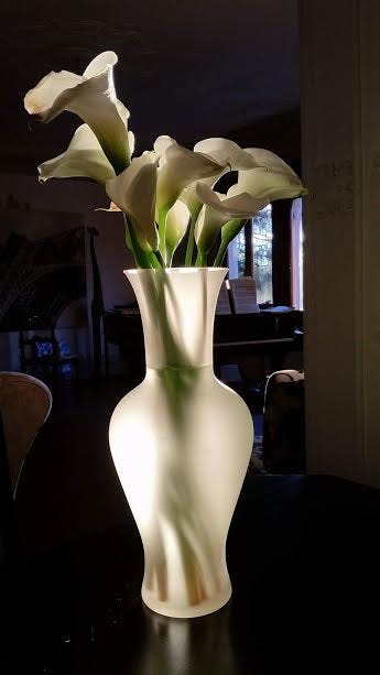 eric's calla lilies eric's calla lilies