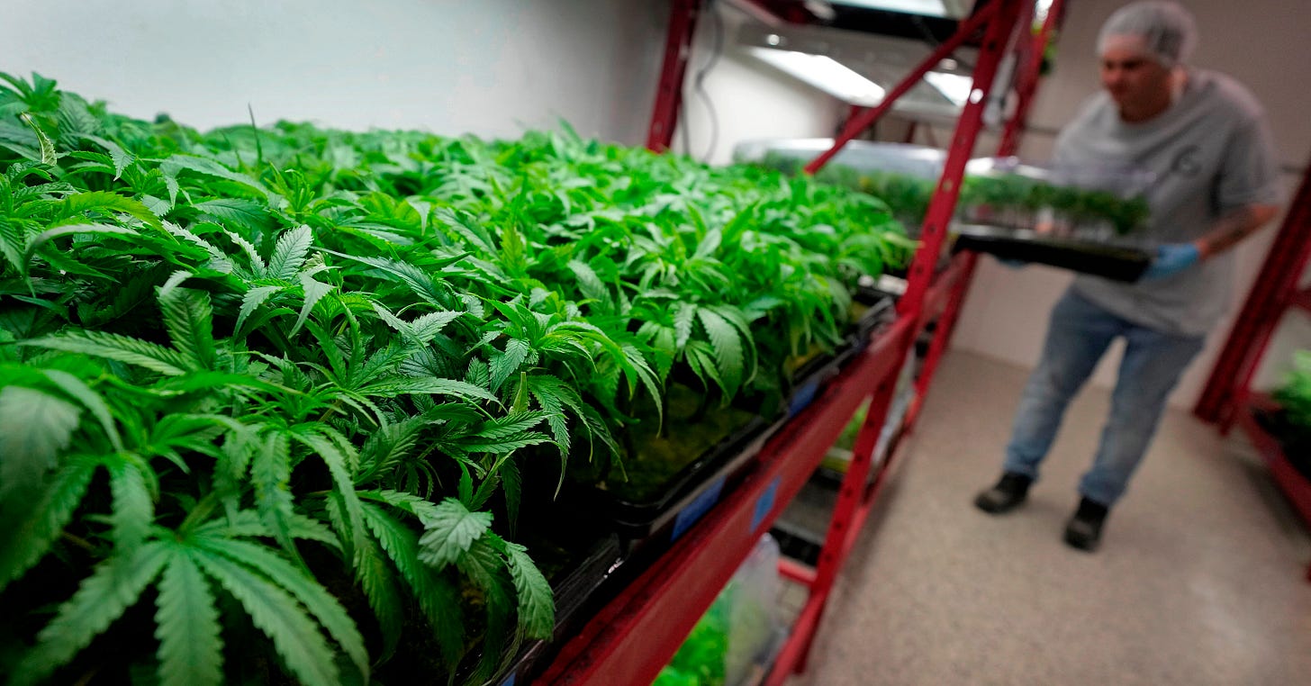 Marijuana rescheduling: A guide to what's changing — and when : NPR