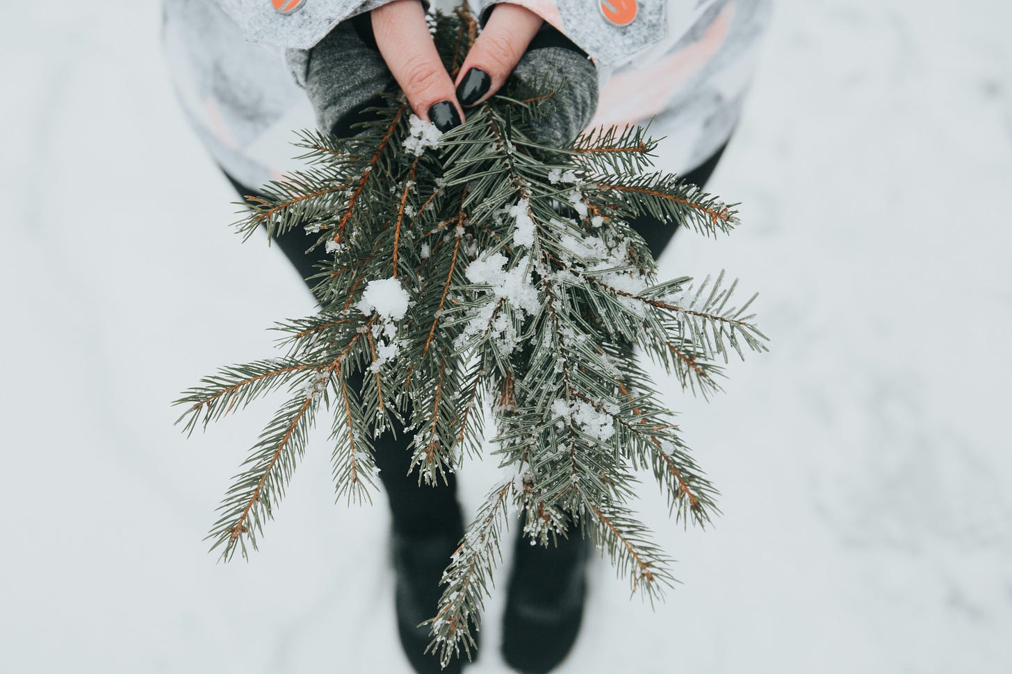 Photo of woman holding pine boughs in hands