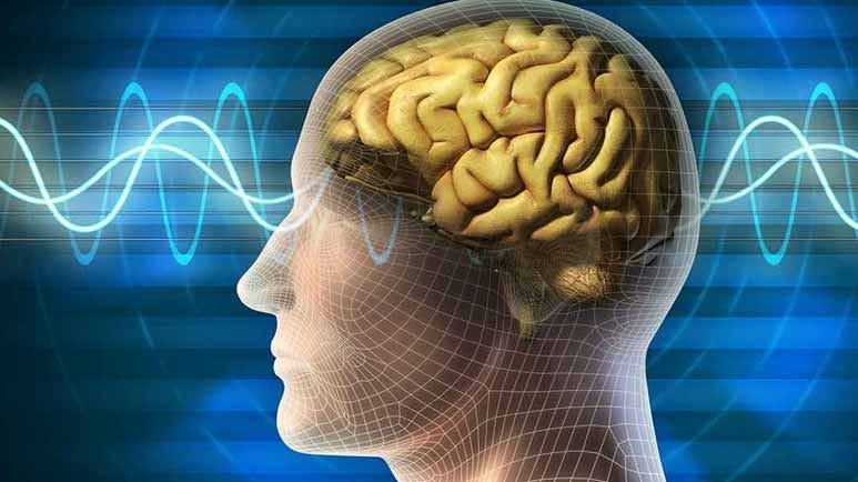 maintain optimal cognitive function