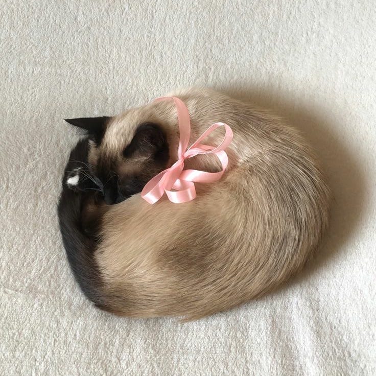 Artwork for the corner cubicle on the left