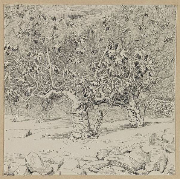 File:Brooklyn Museum - Fig-tree Valley of Hinnom - James Tissot.jpg
