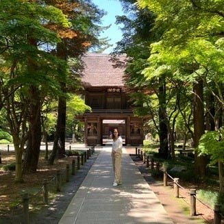 Il Substack di Michela