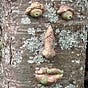 sherri's avatar